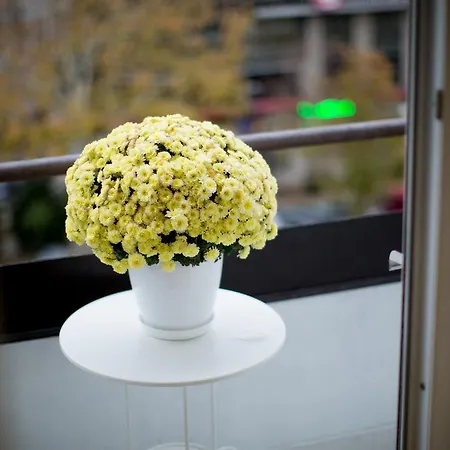 Stan Na Dan Angel * Novi Sad