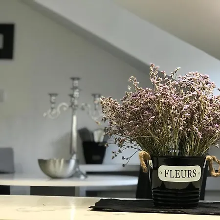 Stan Na Dan Angel * Novi Sad