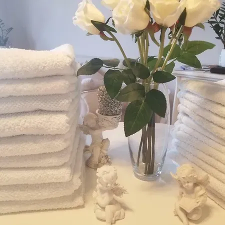 Stan Na Dan Angel Apartman Novi Sad